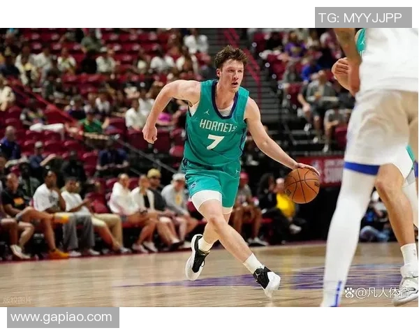 黄蜂新秀爆发，表现亮眼成为球队未来希望